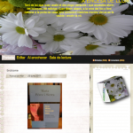 Web A encesa de la Llum