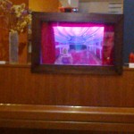 1040546_577341252316849_1913831237_o