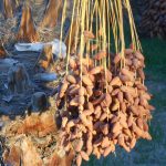 Foto de Consol Riera