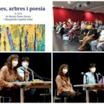 Biblioteca Sagrada Família