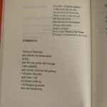 WhatsApp Image 2023-07-26 at 14.01.52