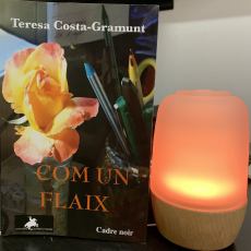 «Com un flaix» de Teresa Costa-Gramunt