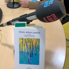 El somni del minotaure