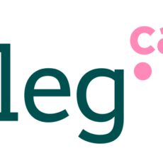 Ressenya de Sílvia Romero al LLEGIR.CAT