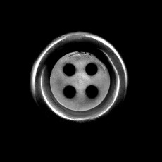 M’he empassat la lluna