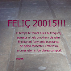 Feliç 2015!