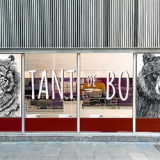 SMS il·lustrat a Tant de bo