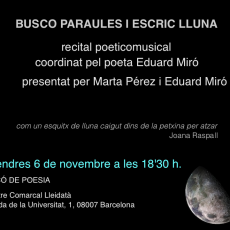 Busco paraules i escric lluna