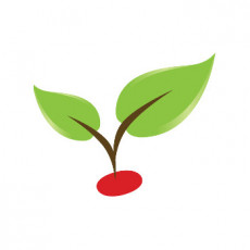 Jordi Roig s’endinsa en Un segon fora del dubte